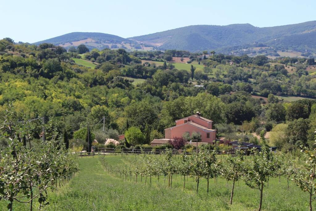 Casa Kikenda, Viaggio Nella Natura Treia Εξωτερικό φωτογραφία