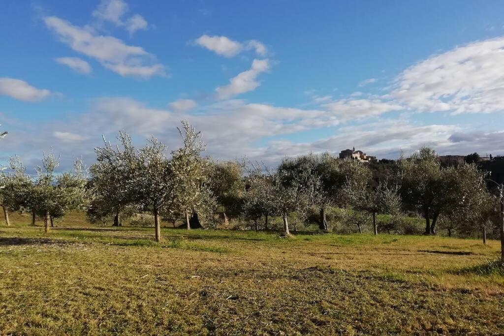 Casa Kikenda, Viaggio Nella Natura Treia Εξωτερικό φωτογραφία