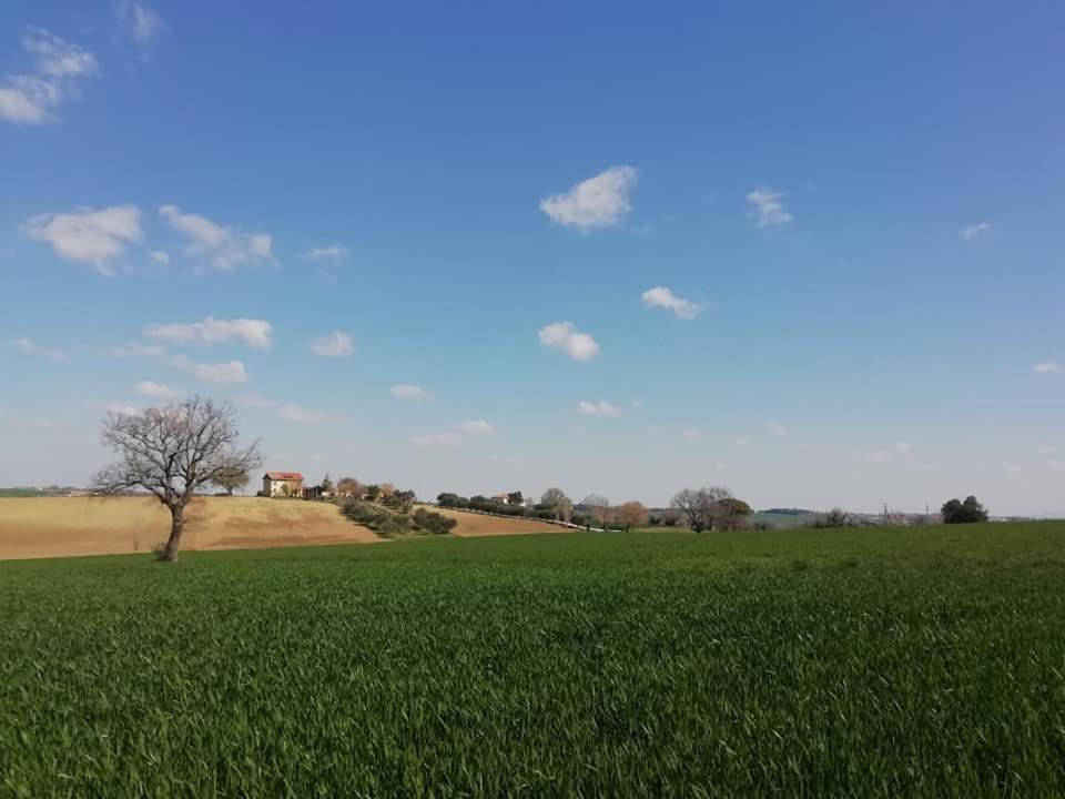 Casa Kikenda, Viaggio Nella Natura Treia Εξωτερικό φωτογραφία